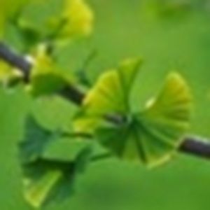 Meet your Posher, Maria c.